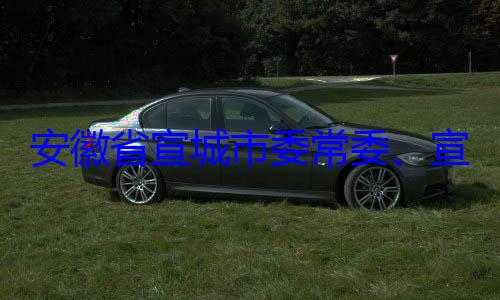 宣传部部长郭金友接受市委常委审查调查安徽省宣城